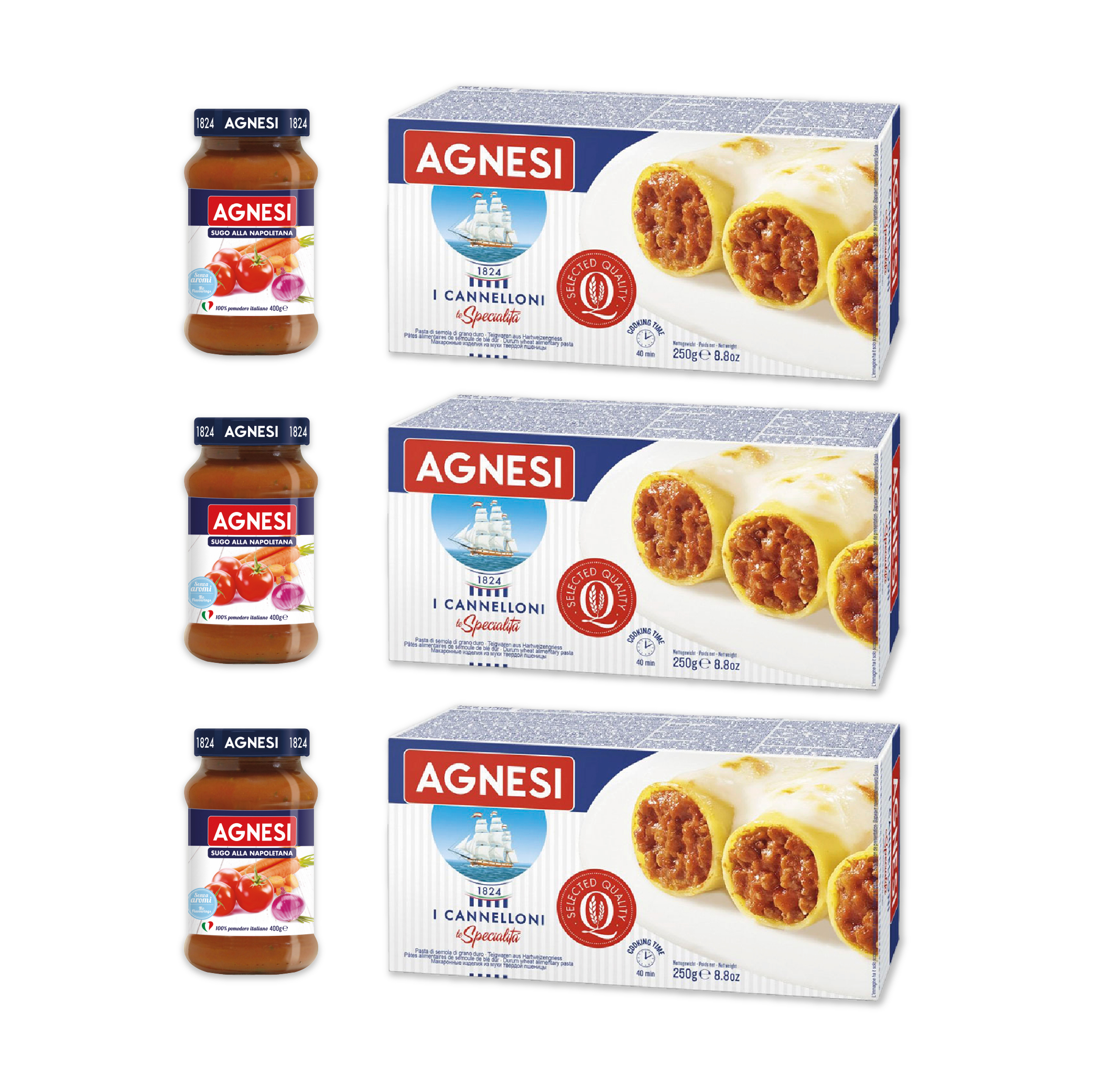 Pack Canneloni y Pomodoro